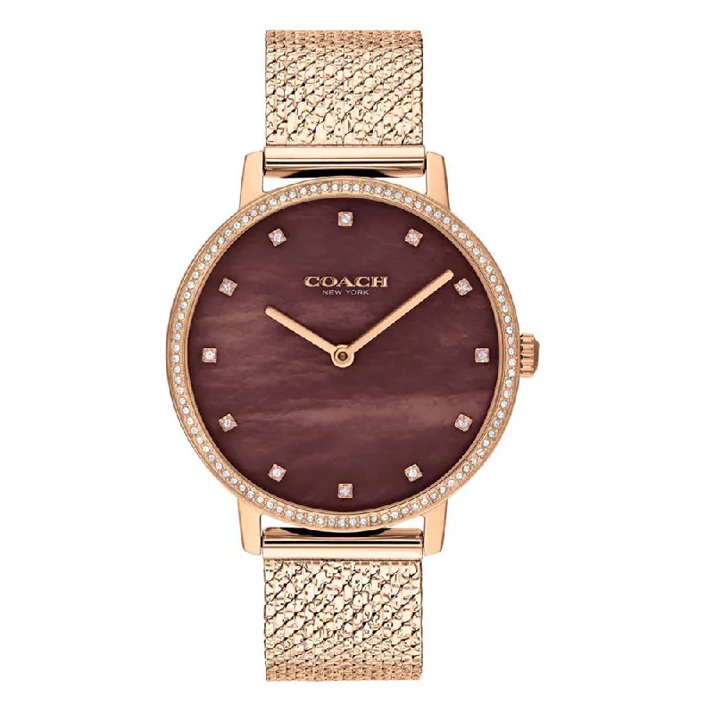 solar-powered analog sport watches-COACH Women Audrey - CO14503828W